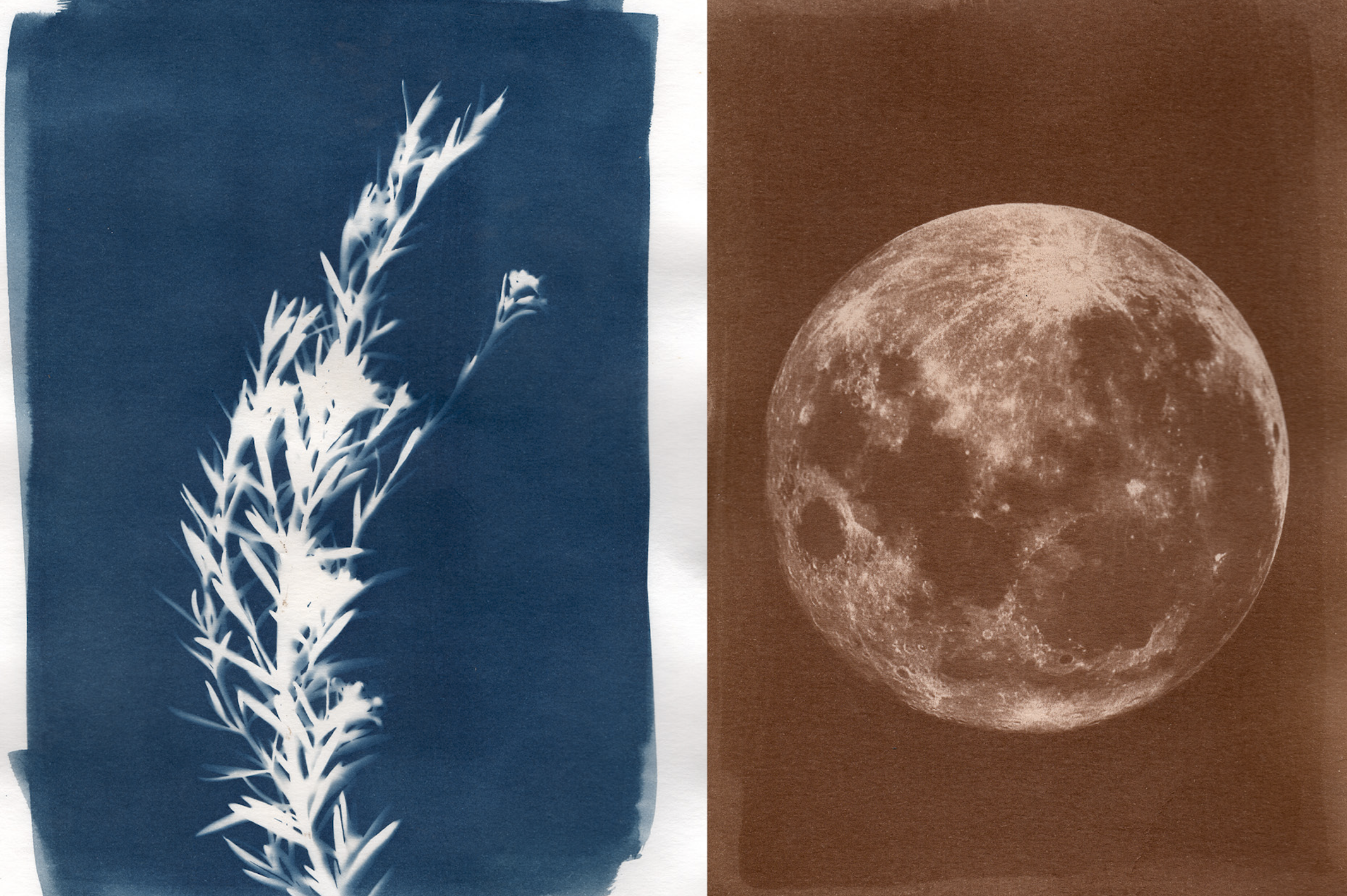 Talleres de fotografía experimental: Cocinando las imágenes